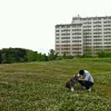 이용주