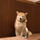 서준승