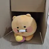 유태영
