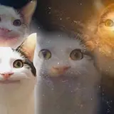 이채연