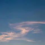 예디