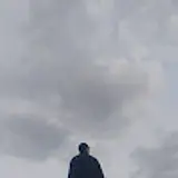 뒤로 가는 샤크