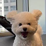 김도은