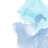 원트