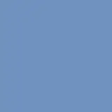 션