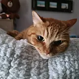 유형준