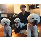 최영석