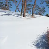 이수환
