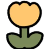 안윤진