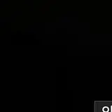 핏팀