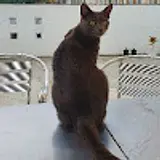 임도건