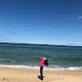 손수형