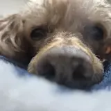 김산