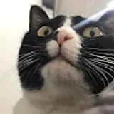 서준우
