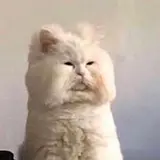 황지영