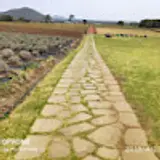 나병훈