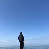 진혜림