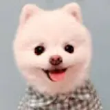 Won Hee Lee