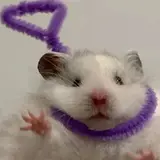 장유진
