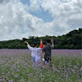 김정민