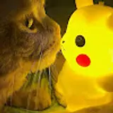 강상민