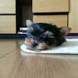 김준수