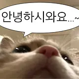 고송언