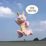 감놔라