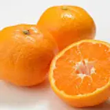 귤귤