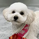 Cookie