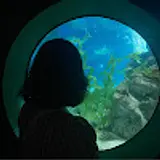 허혜성