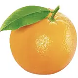 김성준