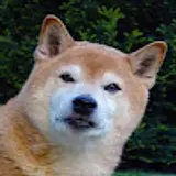 봉스