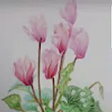 정경숙