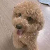 김수빈