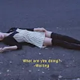 이다안