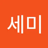한세미