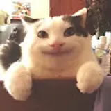 트로닠