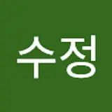김수정