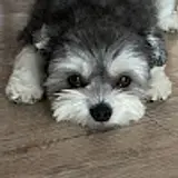 박주영