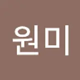 손원미