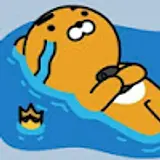 홍희정