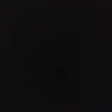 안진경