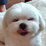 이승윤