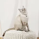 이유진