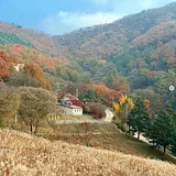 이승연