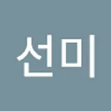 정선미