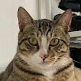 꾸꾸까까