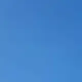오드리