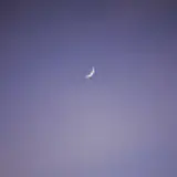 리더원